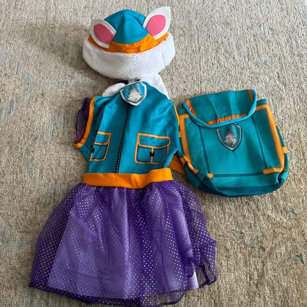 Paw Patrol Everest Costume
